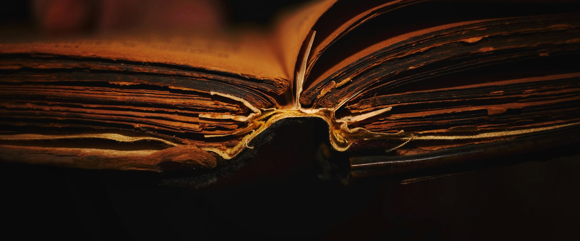 An open book waiting on a wooden table